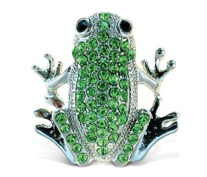 sparkling-magnets-frog
