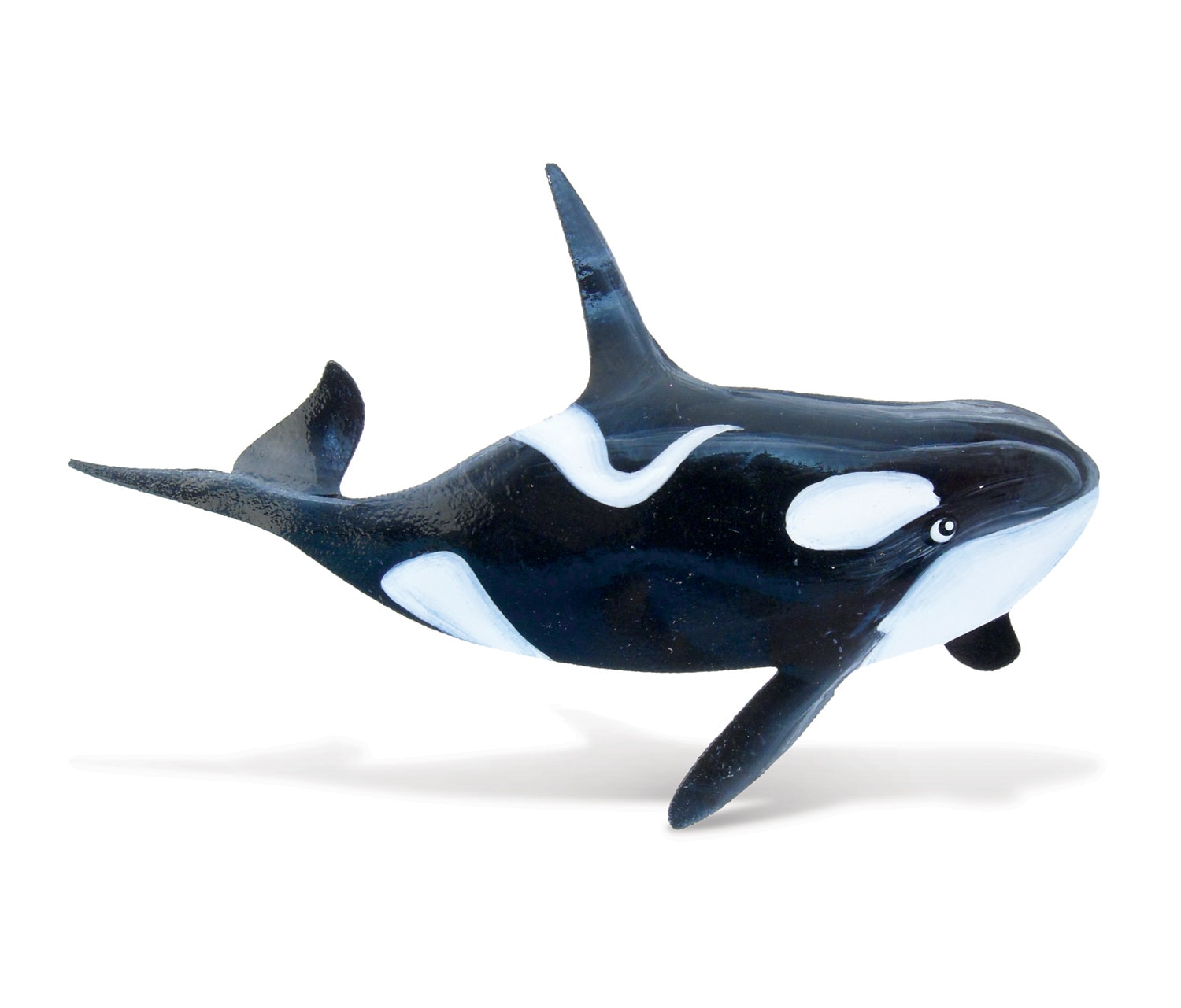 Killer Whale – Bobble Metal Magnet