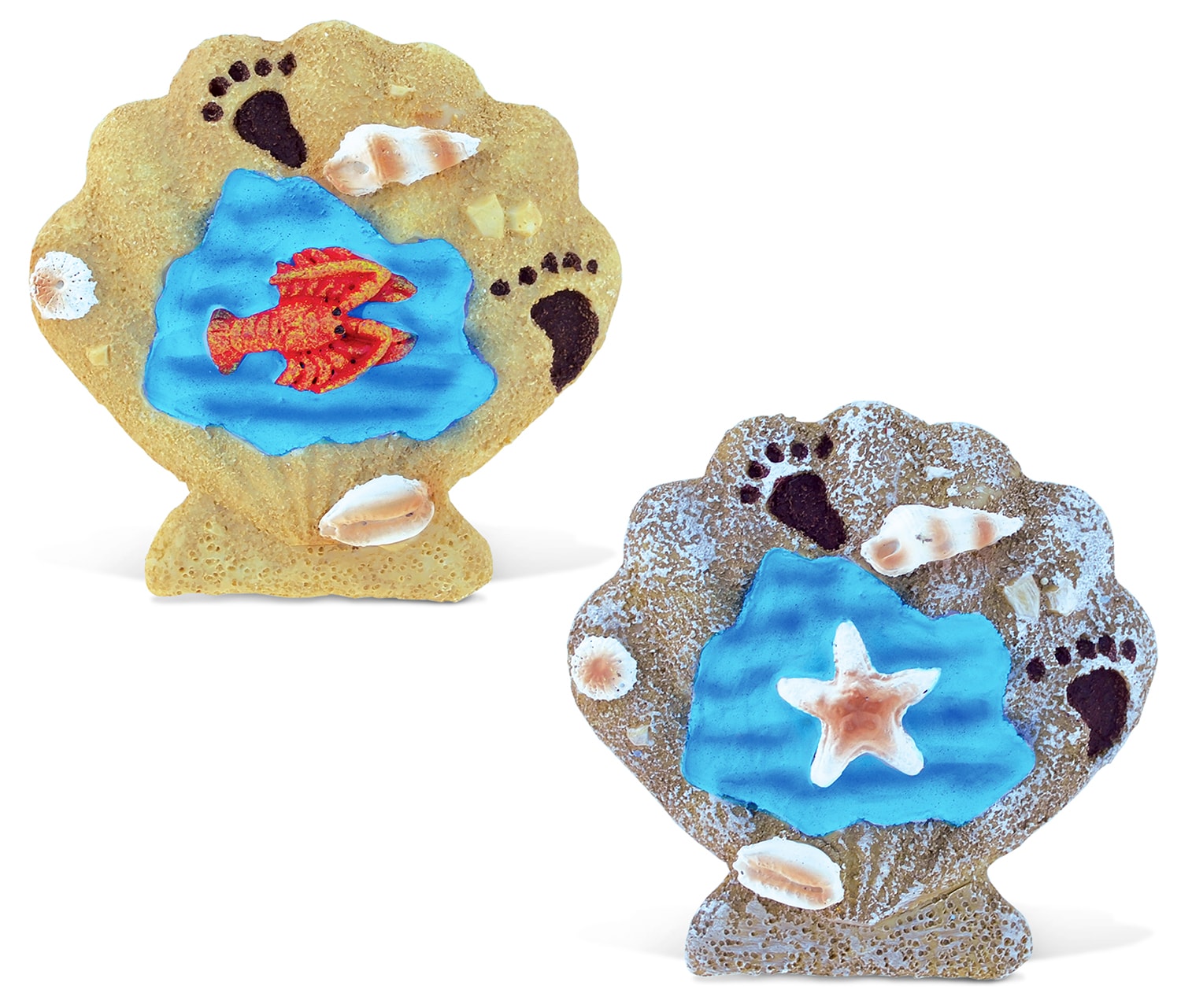 Shell – Blue Wave  Magnets