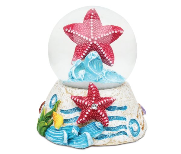 stone-snow-globe-starfish