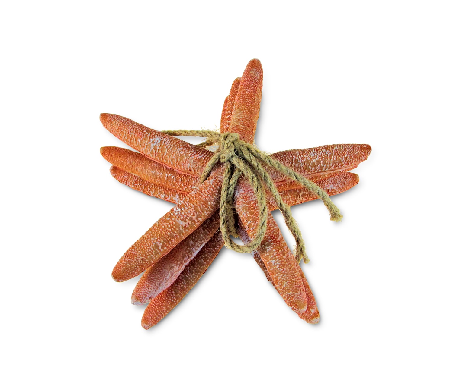 Resin Orange Starfish – Nautical Decor