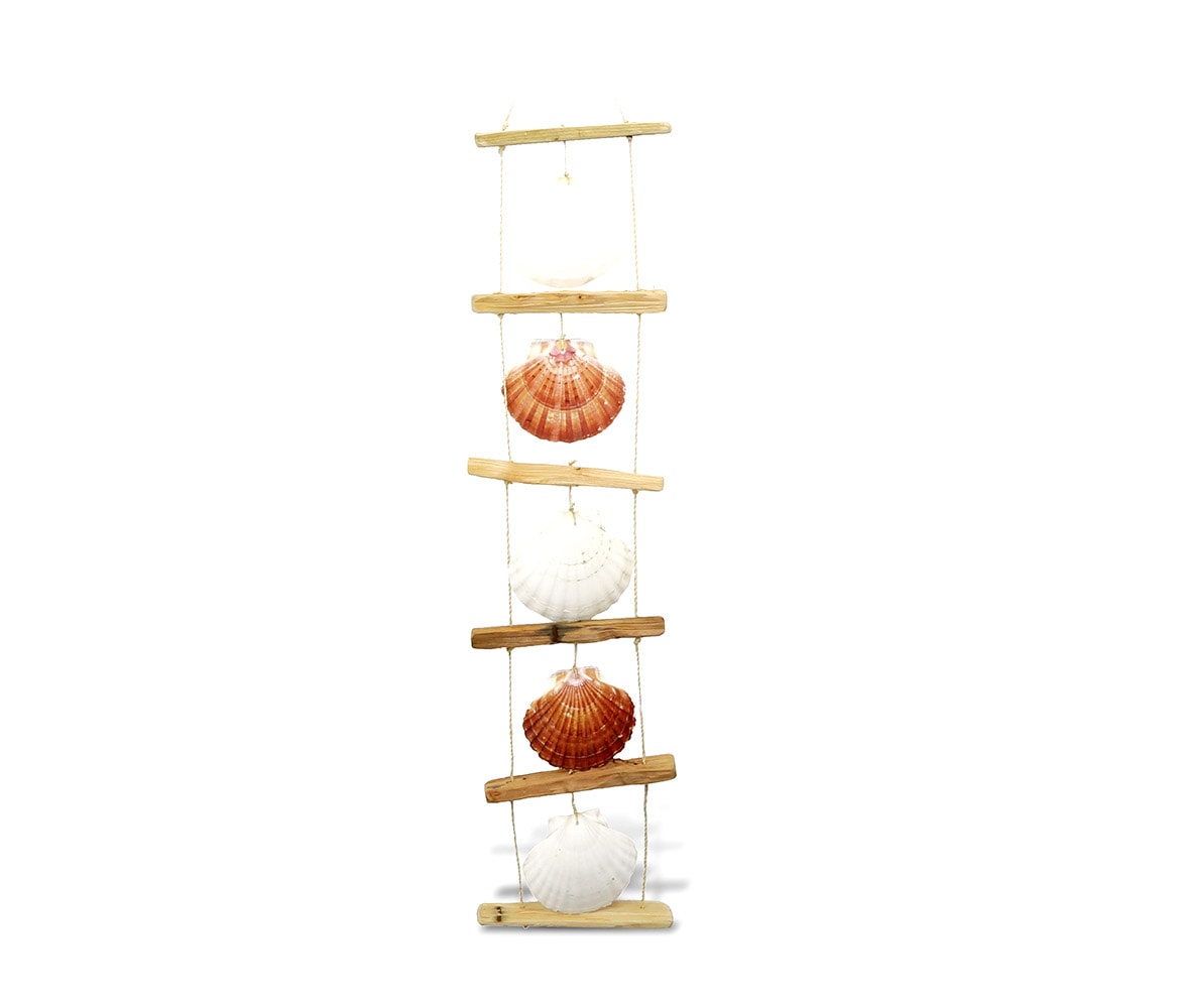 Scallop Shell Ladder Wind Chime 36 Inch – Nautical Decor