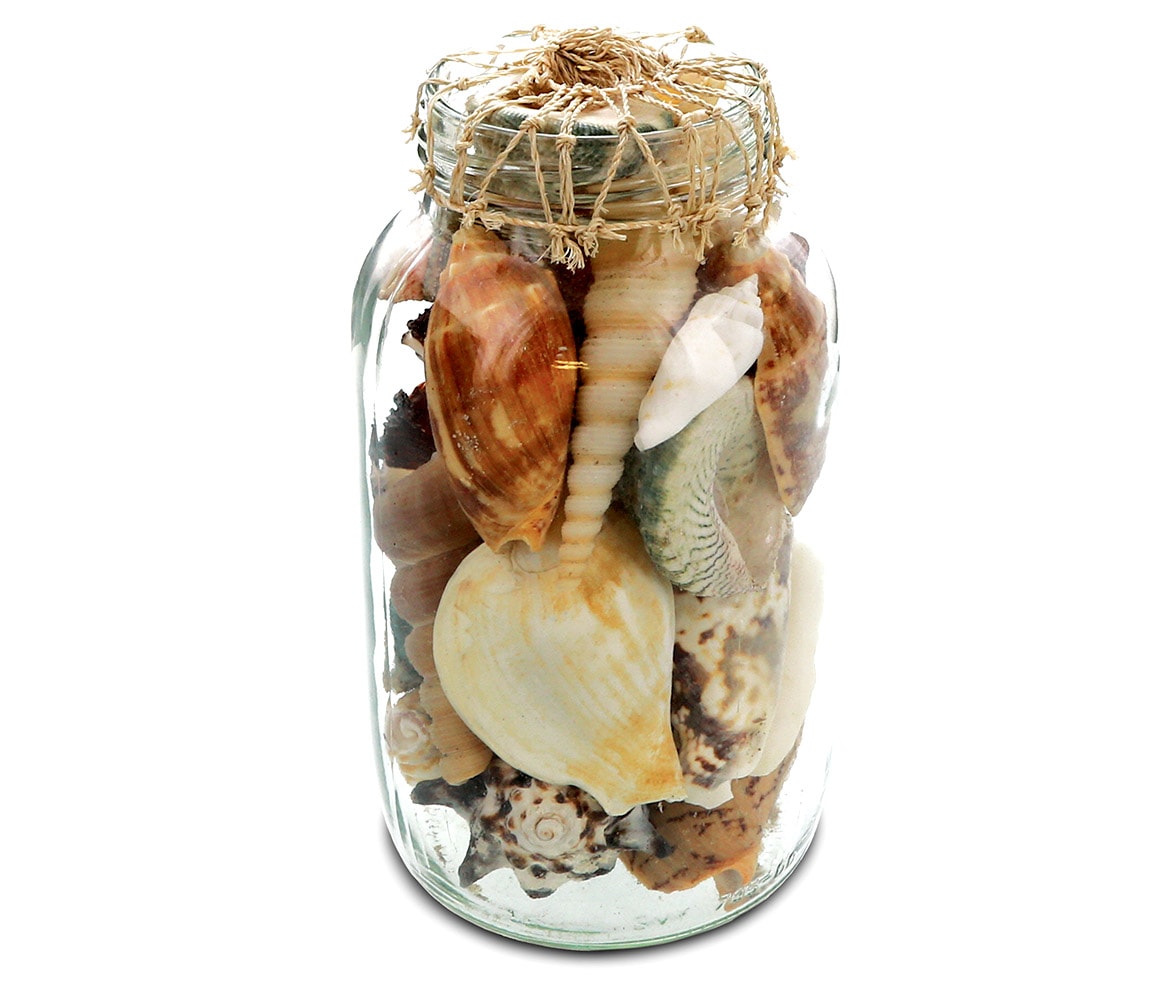 Bottle With Mixed Shells & Net Cover – Nautical Decor