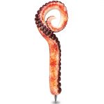 Octopus Arm – Planet Pen