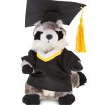 Raccoon – Super Soft Plush