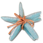 Resin Turquoise Starfish – Nautical Decor