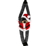 Long Arms – Black Bear – Santa Super Soft Plush