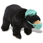 Wild Small Black Bear – Super Soft Plush