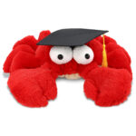 Googly Eyes Red Crab Large – Super Soft Plush