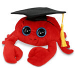 Red Crab – Big Eye 6″ Plush