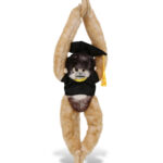 Long Arm Hanging Squirrel Monkey – Super Soft Plush