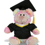Rainbow Bear 9″ With Graduation Dress Up Set  – Super-Soft Plush
