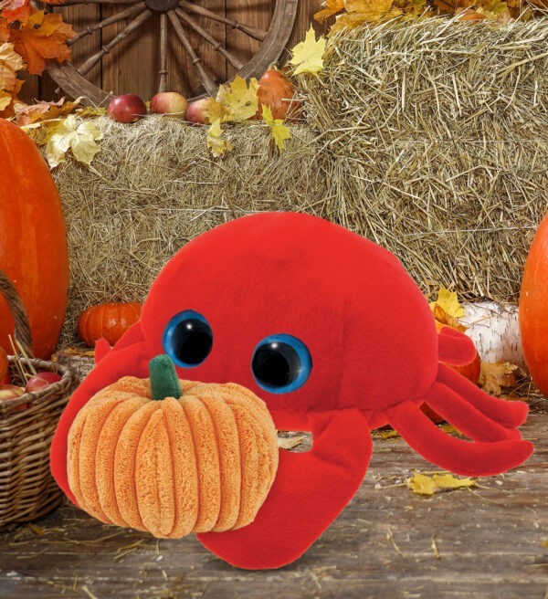 Sparkling Big Eye Red Crab Plush With Pumpkin Plush - Super-Soft Plush - Image 4